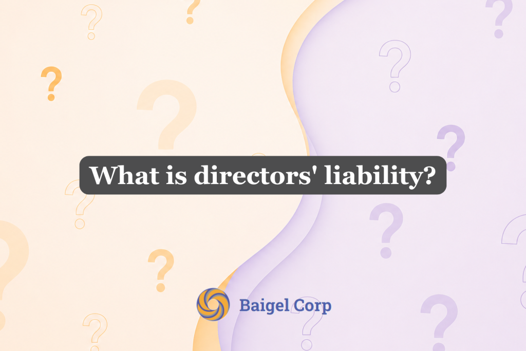 what is directors’ liability